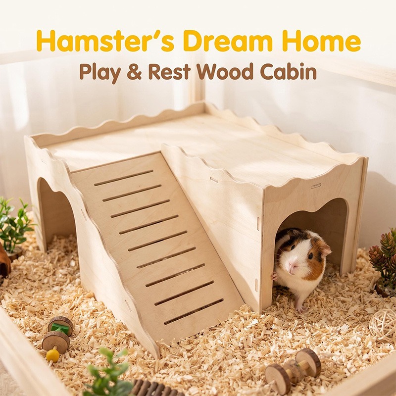 Pet Supplies Amazon - Amazon Hamster Holzspielzeug Vermeidungsartikel Golden Bear
