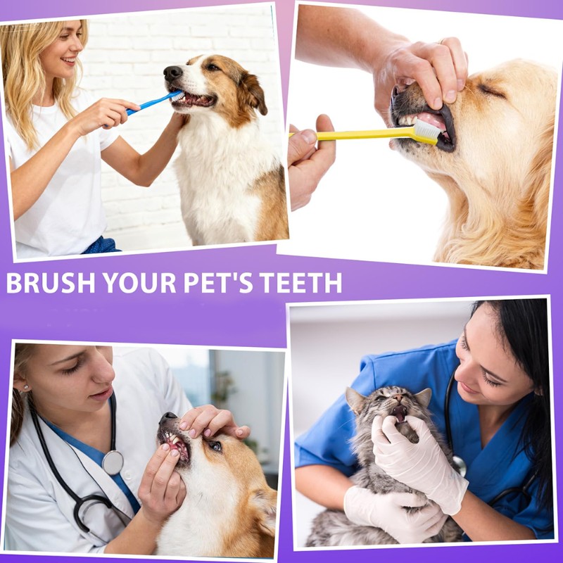 Dog Paw Cleaner - AB66-Hund Mundhygiene-Werkzeug – 60-köpfige Hundezahnbürste, doppelseitige
