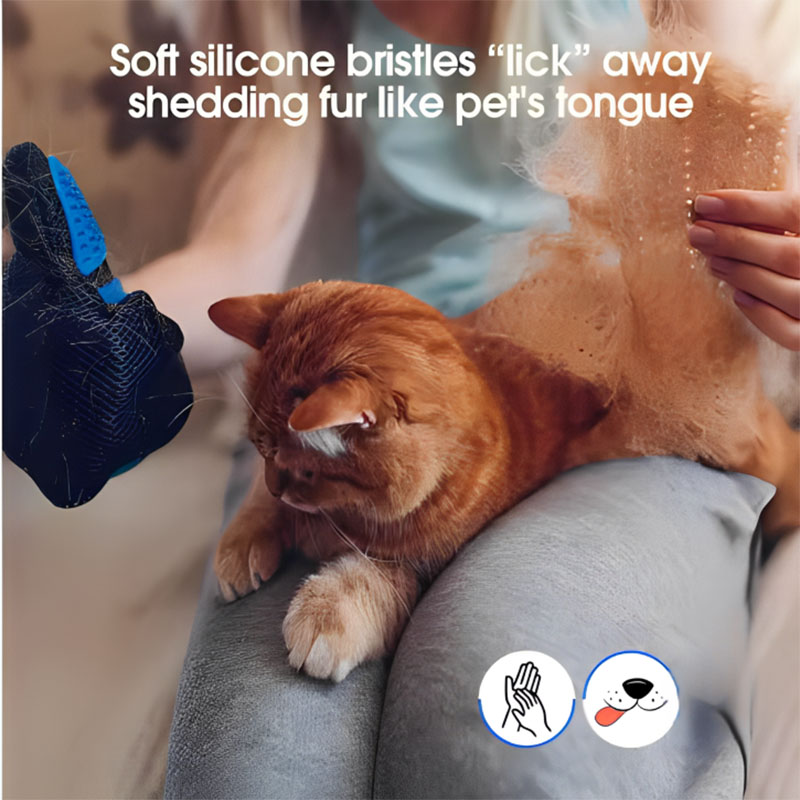 Tierhaar-Handschuhkamm für Hun – Pet Supplies App Bewertung und Preis