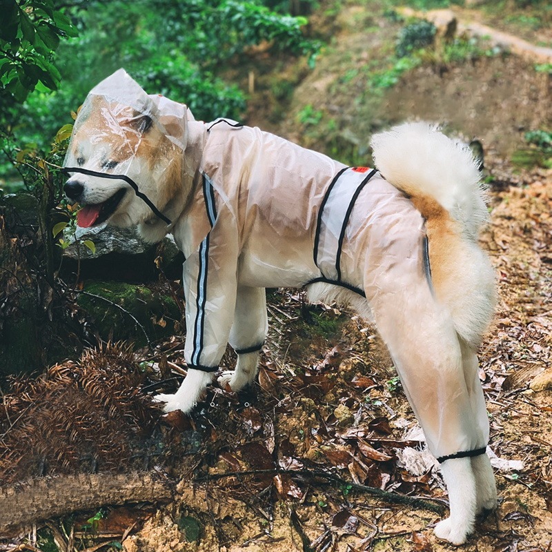 Wasserdichter Hunde-Regenmante – Dog Raincoat Bewertung und Preis