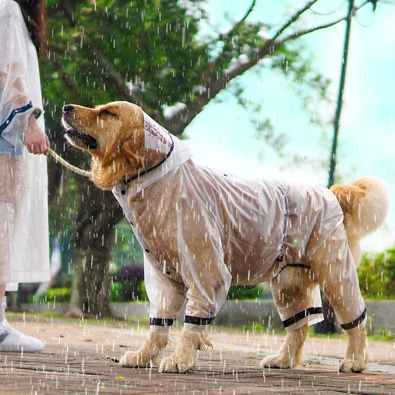 Wasserdichter Hunde-Regenmante – Dog Raincoat Bewertung und Preis