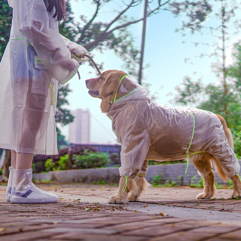 Wasserdichter Hunde-Regenmante – Dog Raincoat Bewertung und Preis