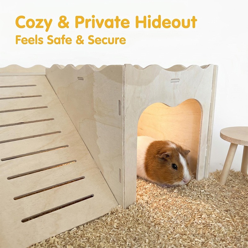 Amazon Hamster Holzspielzeug V – Pet Supplies Amazon Bewertung und Preis