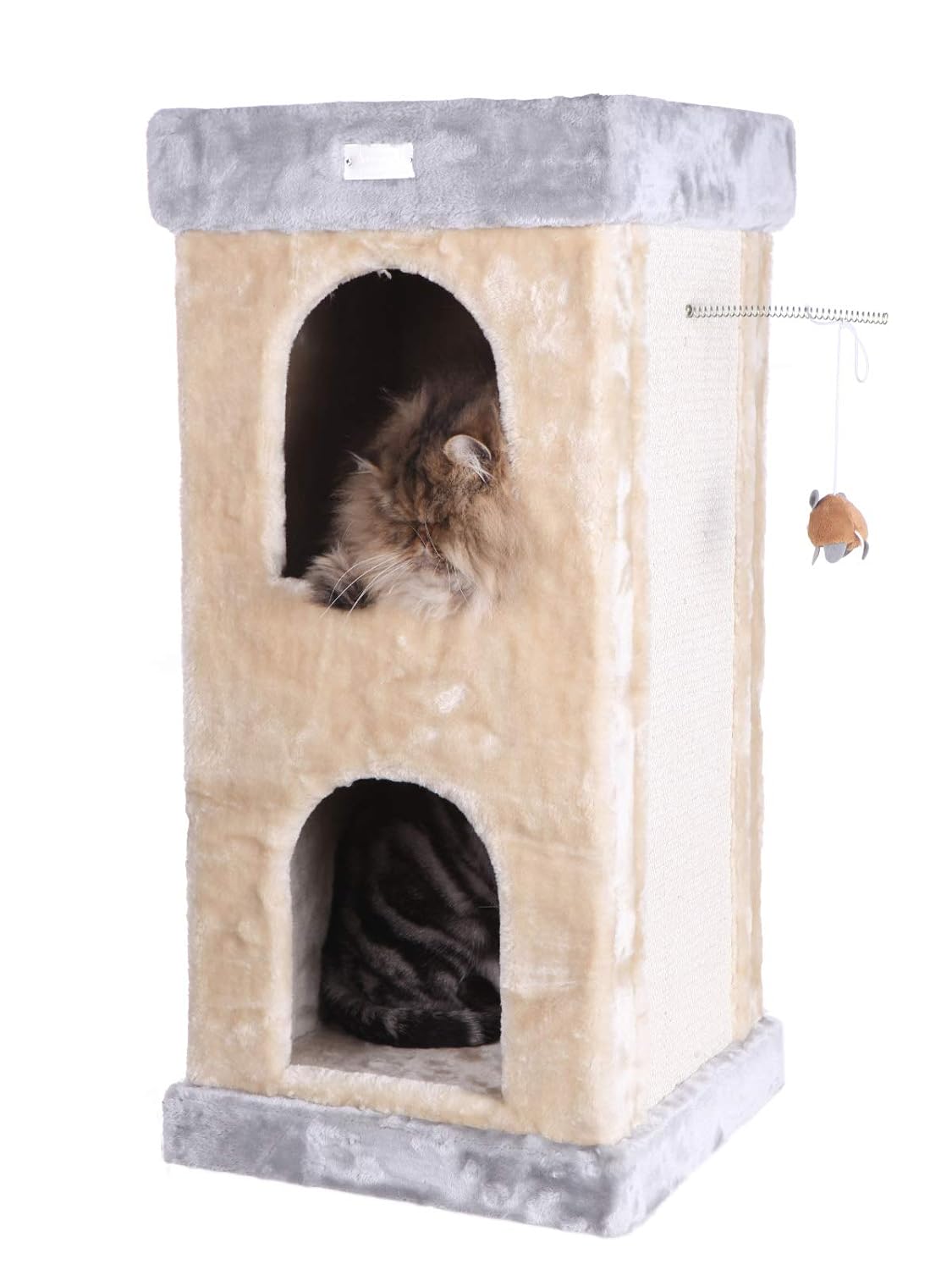Premium-Katzenbaum mit Kratzst – Cat Scratching Post Bewertung und Preis