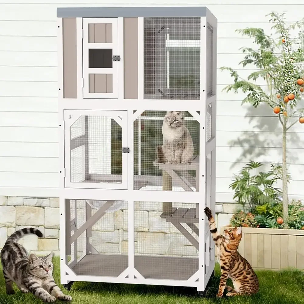 Outdoor-Katzengehege mit Räder – Cat Scratching Post Bewertung und Preis