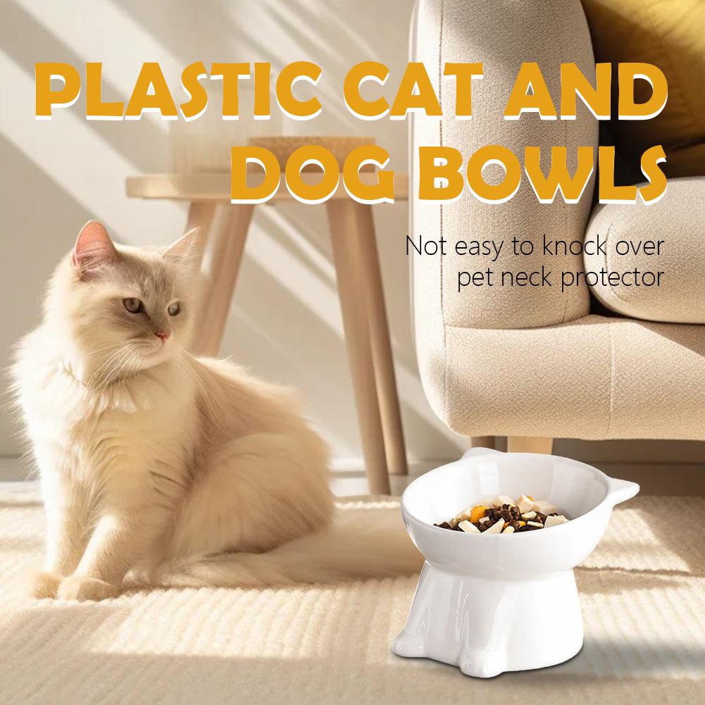 Schwarze Katzenschüssel Amazon – Pet Supplies Amazon Bewertung und Preis