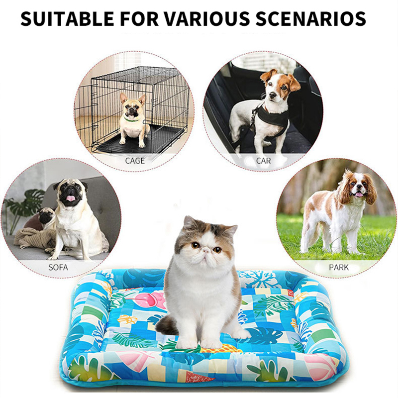 Kühlmatte für Haustiere, quadr – Pet Supplies Dog Wash Bewertung und Preis