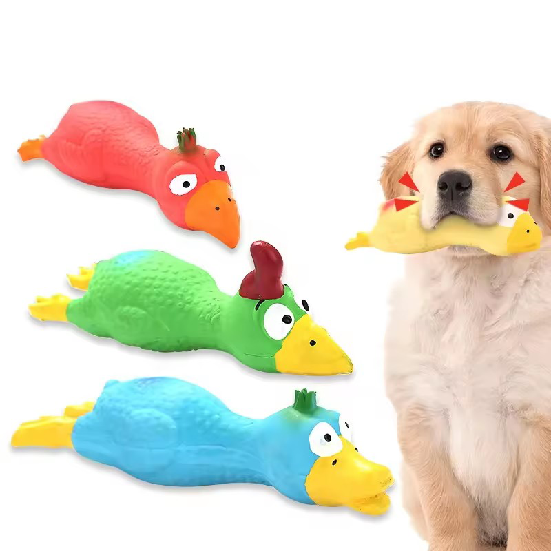 Quietschspielzeug für süße Hun – Pet Supplies App Bewertung und Preis