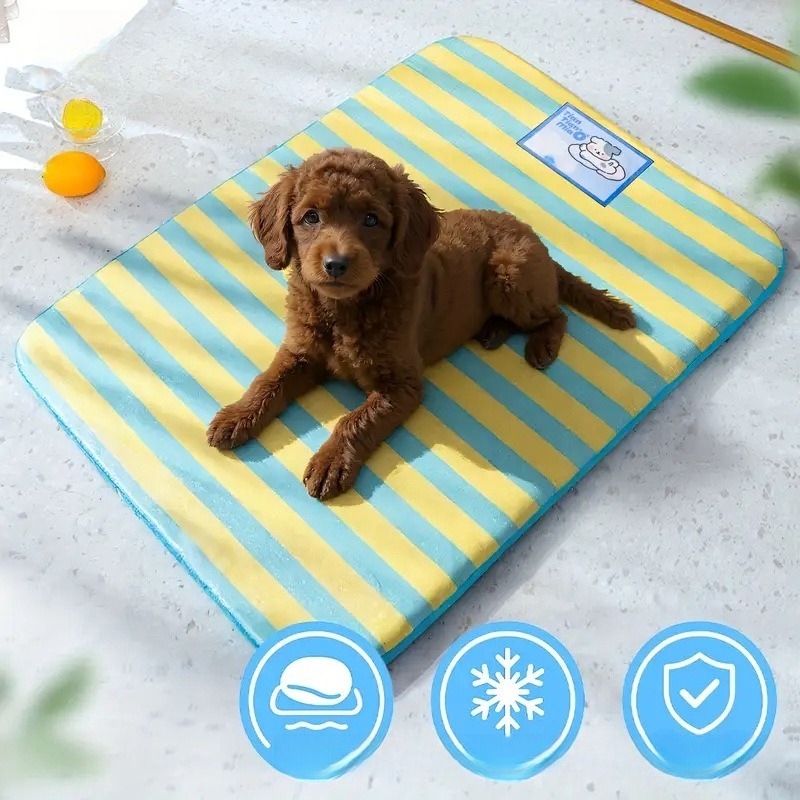 Frühlings- und Sommer-Kühlmatt – Pet Supplies Dog Wash Bewertung und Preis