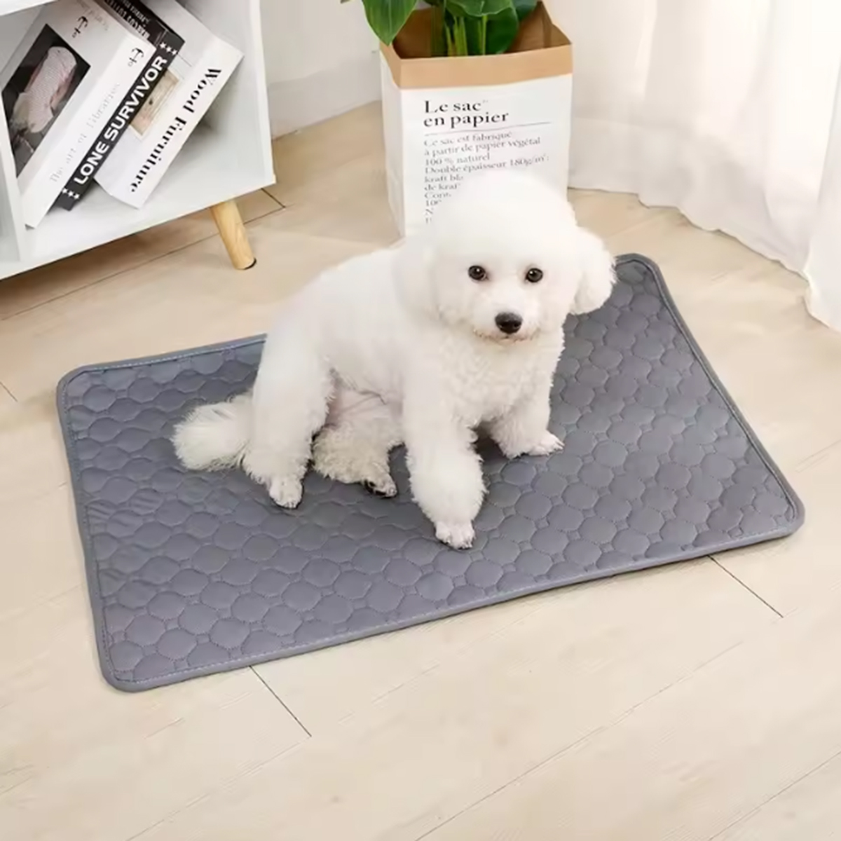 Wiederverwendbare Waschbare Hu – Pet Supplies Dog Wash Bewertung und Preis