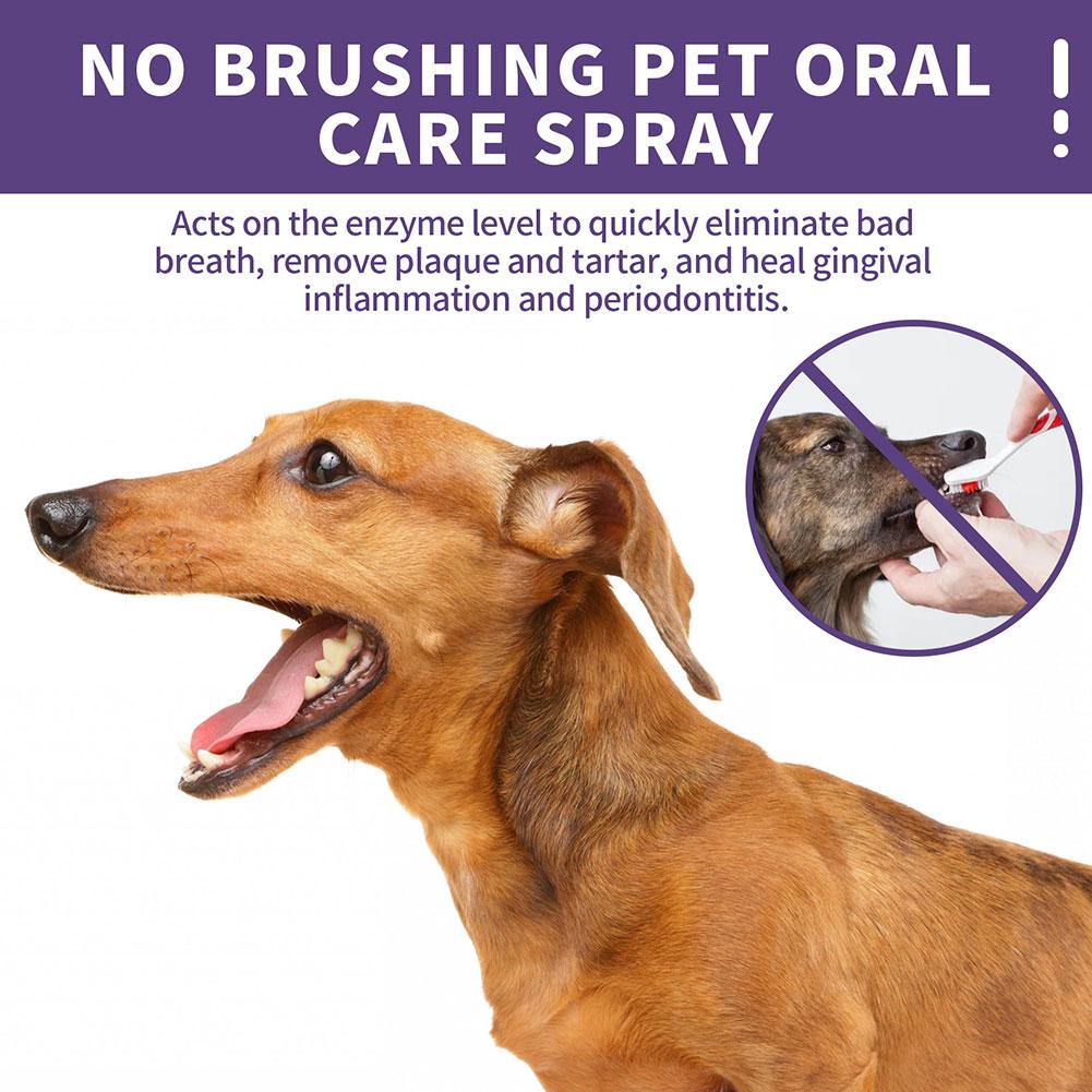 Mundreinigungsspray für Hausti – Pet Supplies App Bewertung und Preis