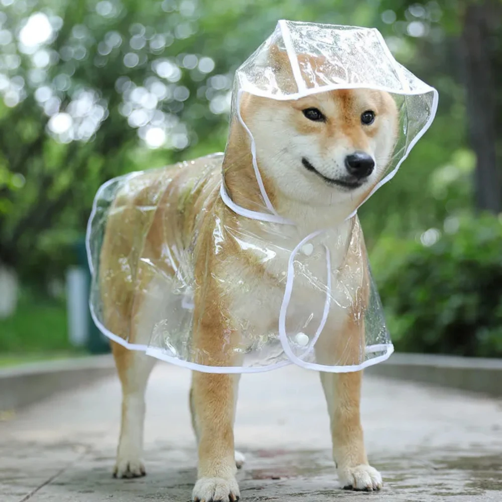 Hunde-Regenmantel, transparent – Dog Raincoat Bewertung und Preis
