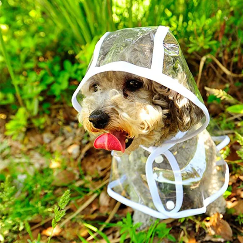 Hunde-Regenmantel, transparent – Dog Raincoat Bewertung und Preis