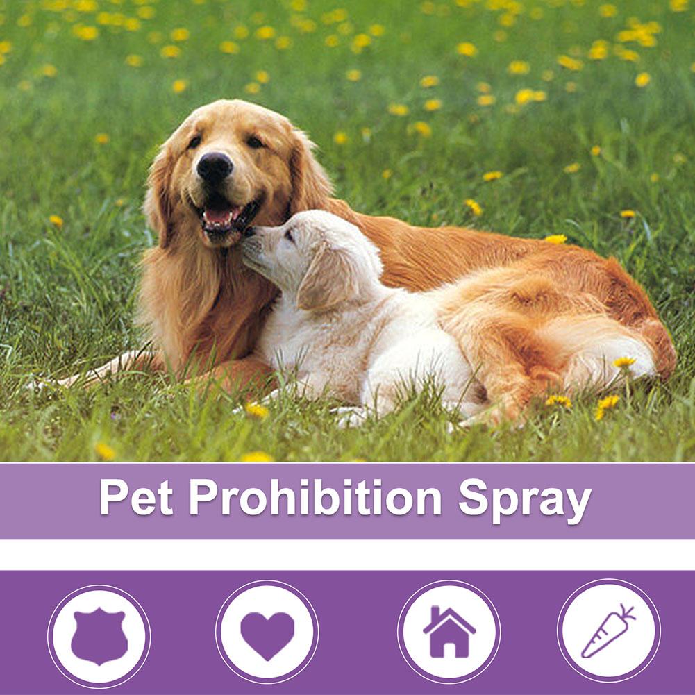 Beruhigungsspray für Haustiere – Pet Supplies App Bewertung und Preis