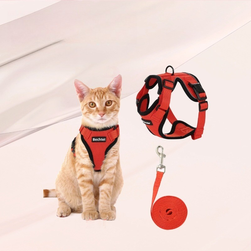 Amazon Haustier-Brustgurt für  – Pet Supplies Amazon Bewertung und Preis