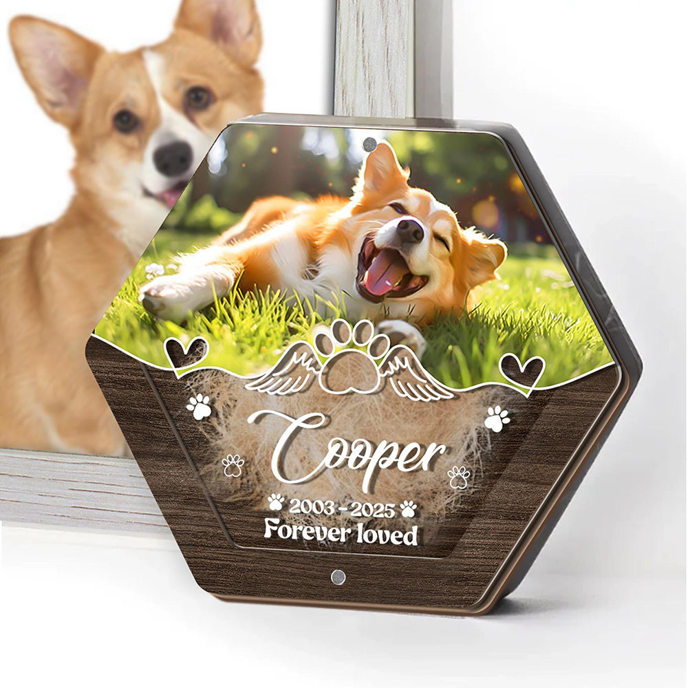 Personalisierte Name Holzschni – Pet Supplies App Bewertung und Preis