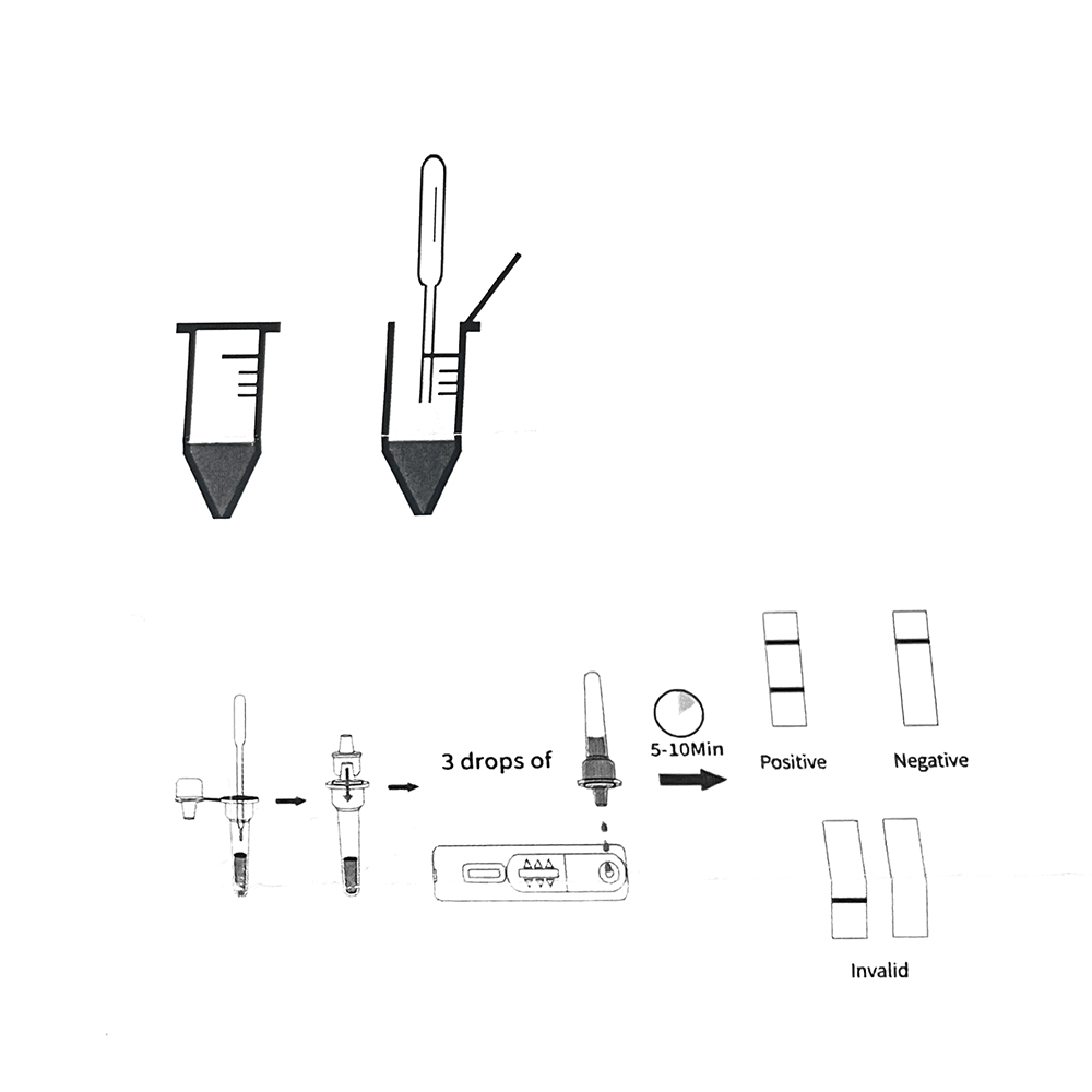 1set/5set profession elles Hau – Pet Supplies App Bewertung und Preis