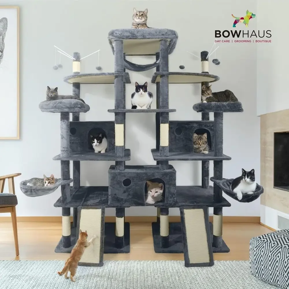 80 Zoll hoher Katzenturm für g – Cat Scratching Post Bewertung und Preis