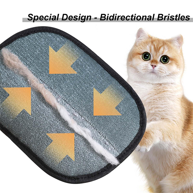 Neuer elektrostatischer Tierpf – Pet Supplies App Bewertung und Preis
