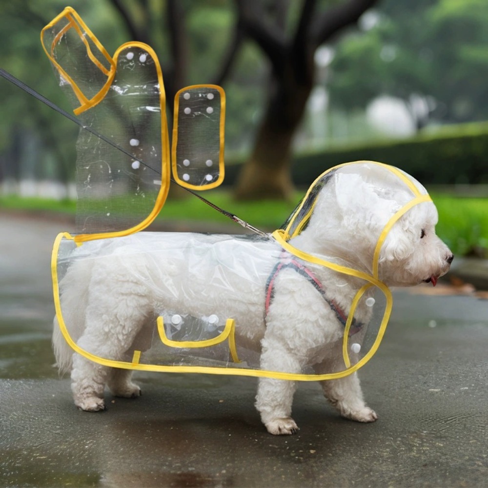 Hunde-Regenmantel Transparente – Dog Raincoat Bewertung und Preis