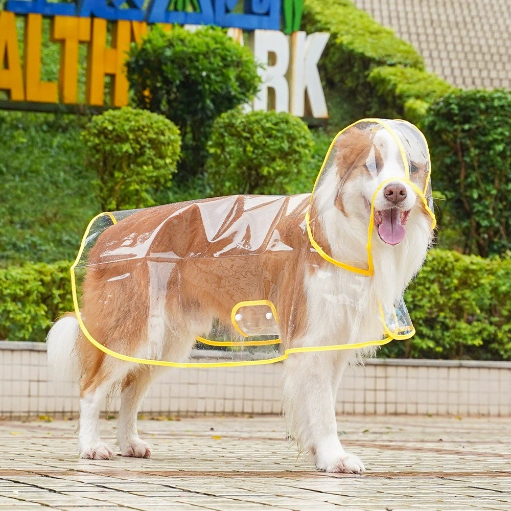 Hunde-Regenmantel Transparente – Dog Raincoat Bewertung und Preis