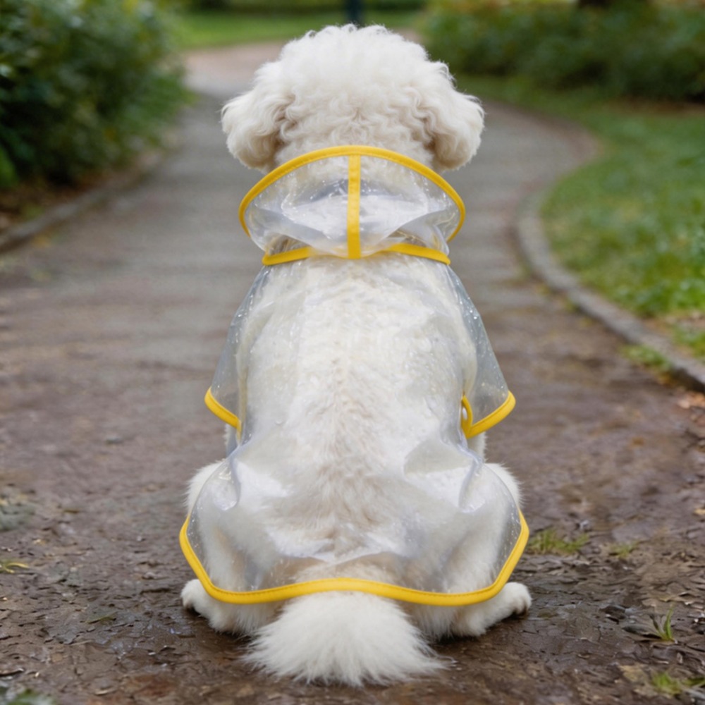 Hunde-Regenmantel Transparente – Dog Raincoat Bewertung und Preis