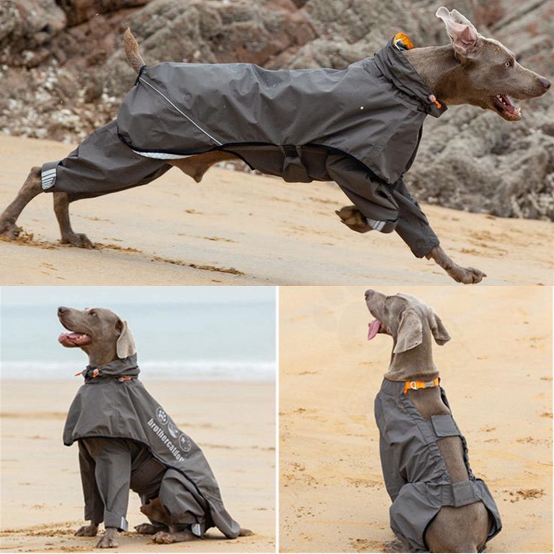 Wasserdichter Hunde-Regenmante – Dog Raincoat Bewertung und Preis
