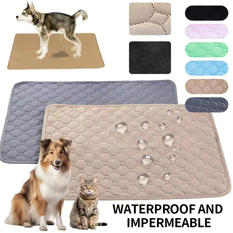 Waschbare, wiederverwendbare,  – Pet Supplies Dog Wash Bewertung und Preis