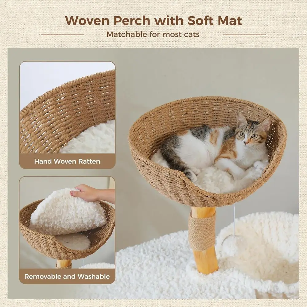 48,5 cm Hoher Massivholz-Katze – Cat Scratching Post Bewertung und Preis