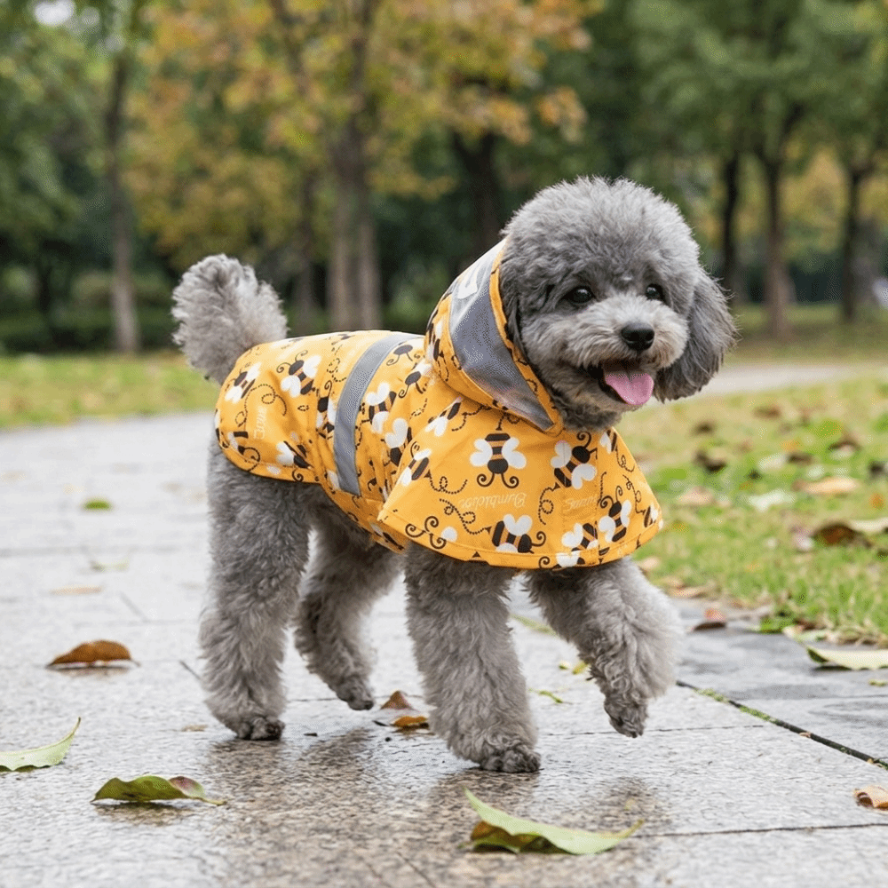 Entenförmiger Hunde-Regenmante – Dog Raincoat Bewertung und Preis