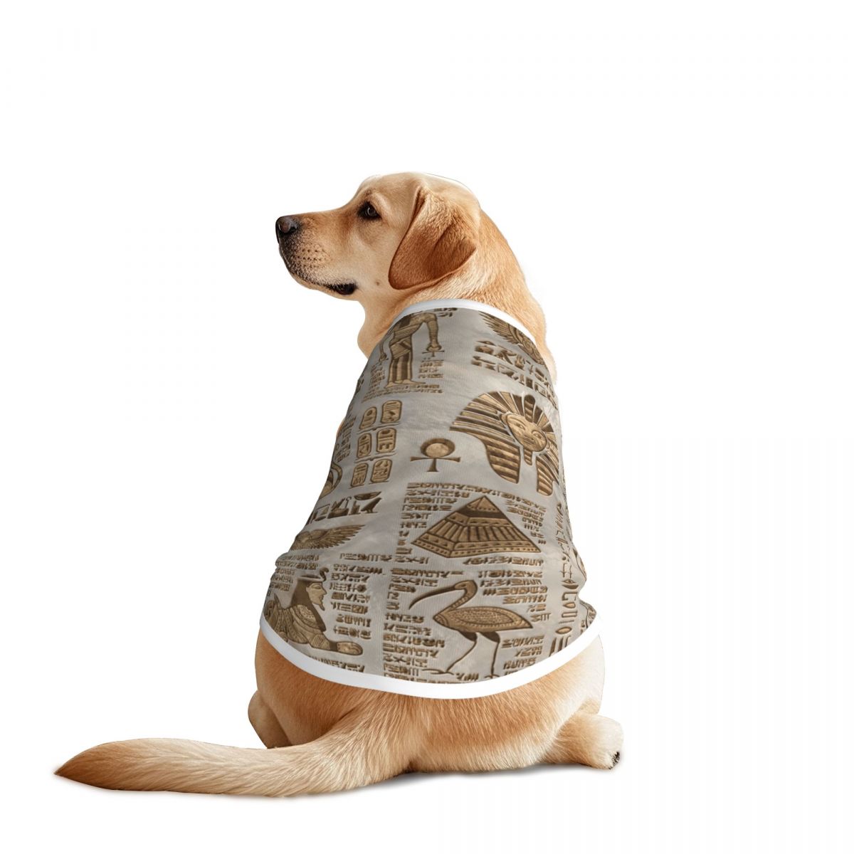 Ägyptische Hieroglyphen und Go – Pet Supplies Egypt Bewertung und Preis