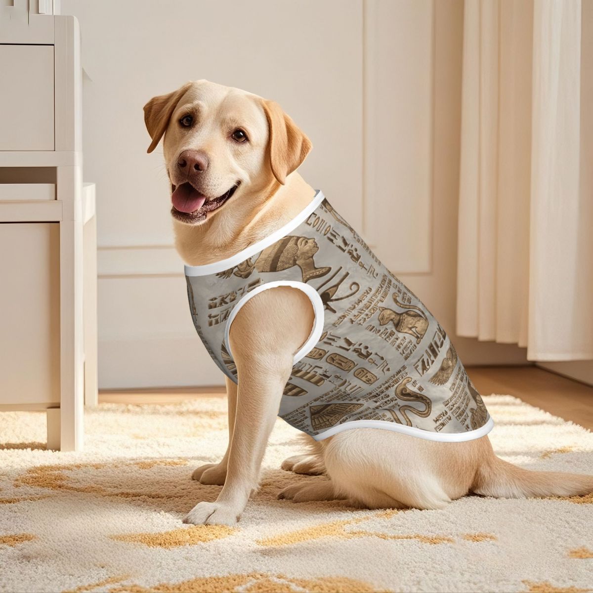 Ägyptische Hieroglyphen und Go – Pet Supplies Egypt Bewertung und Preis