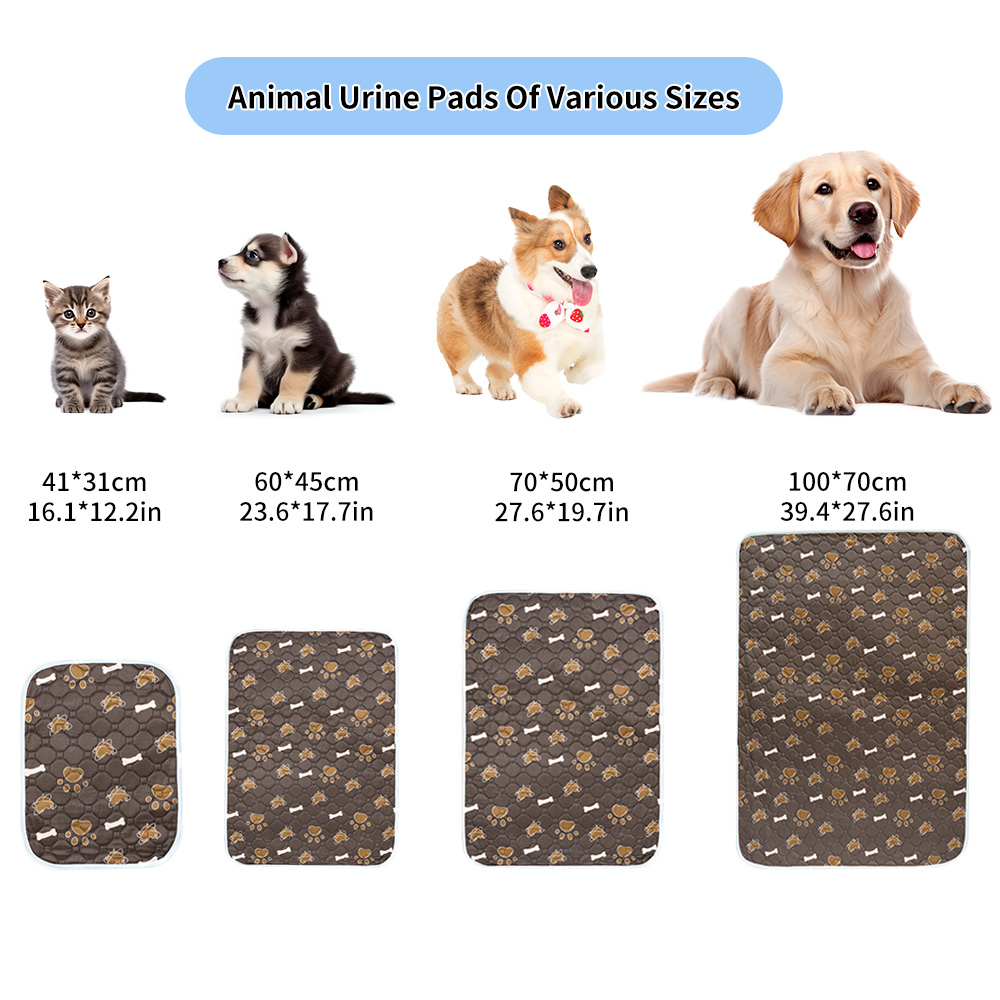 Wieder verwendbare Hund Pee Pa – Pet Supplies Dog Wash Bewertung und Preis