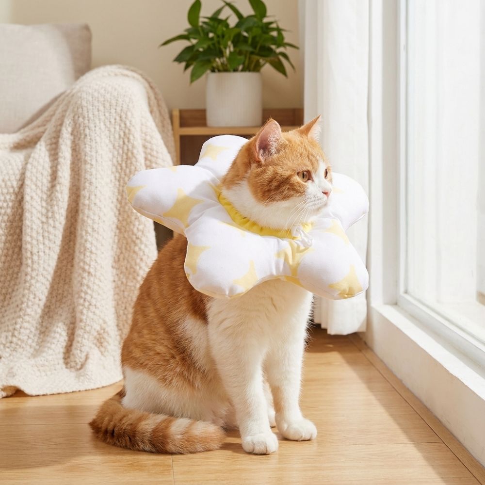 Verstellbarer Katzen-Schutzkra – Cat Scratching Post Bewertung und Preis