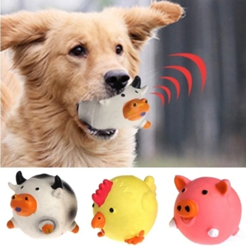 Haustierzubehör Amazon Bestsel – Pet Supplies Amazon Bewertung und Preis