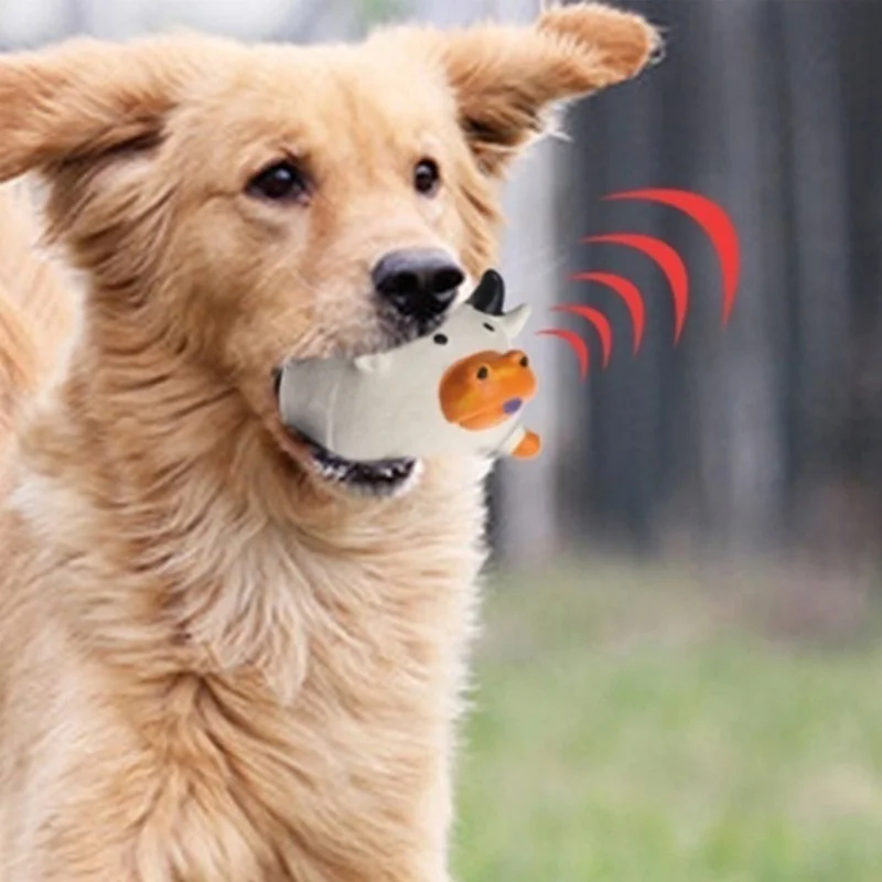 Haustierzubehör Amazon Bestsel – Pet Supplies Amazon Bewertung und Preis