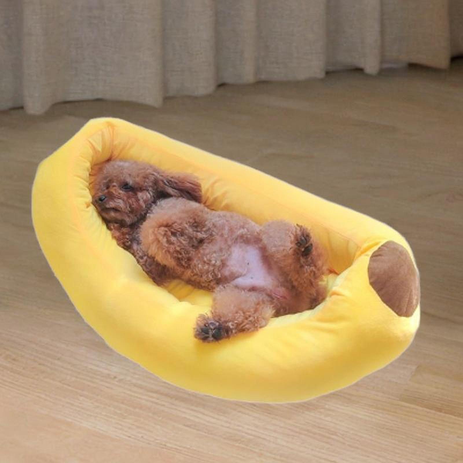 Bananen förmiges Hunde bett at – Pet Supplies Dog Wash Bewertung und Preis