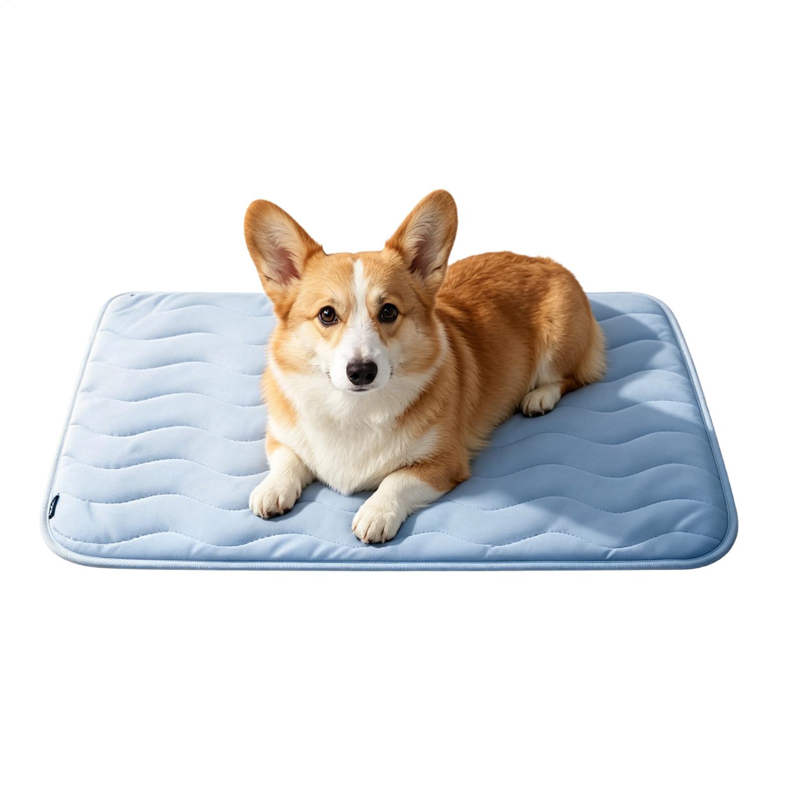Hundekühlmatte Sommer Haustier – Pet Supplies Dog Wash Bewertung und Preis