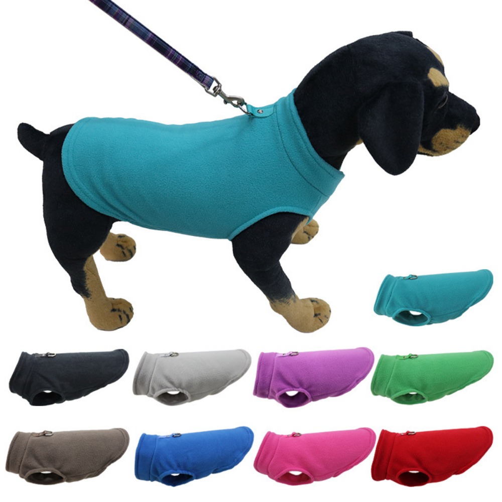 Europa, Amerika, Amazon Hausti – Pet Supplies Amazon Bewertung und Preis