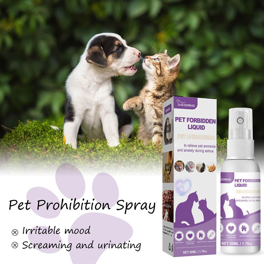 1/3/5 stücke Haustier Beruhige – Pet Supplies App Bewertung und Preis