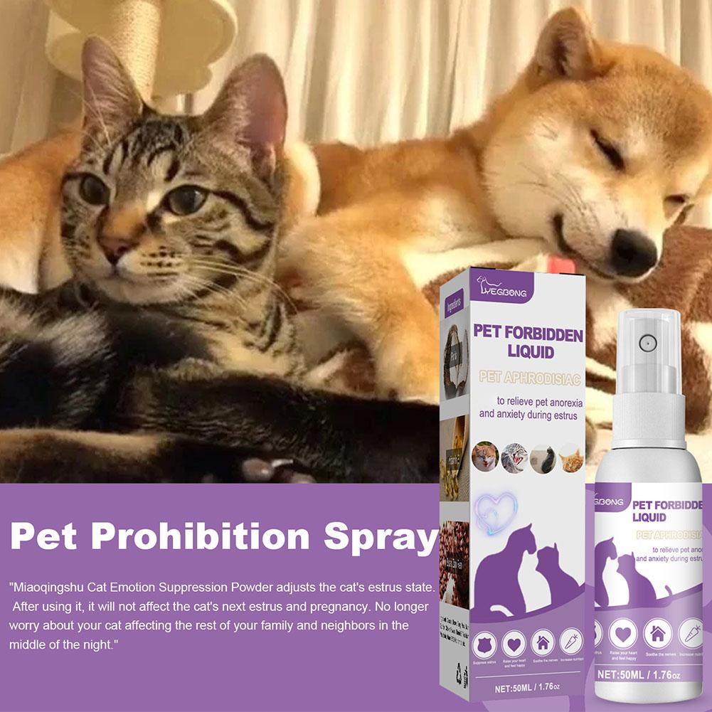 1/3/5 stücke Haustier Beruhige – Pet Supplies App Bewertung und Preis