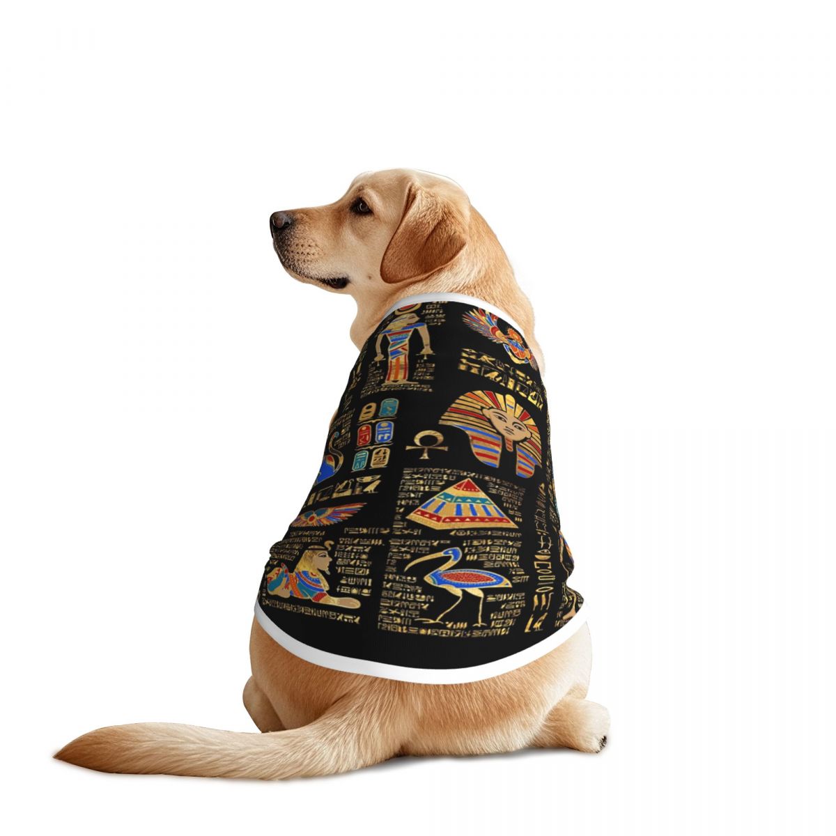 Ägyptische Hieroglyphen und Go – Pet Supplies Egypt Bewertung und Preis